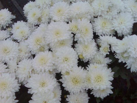 kep012.jpg